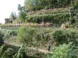 Clicca qui per vedere l'immagine in dettaglio